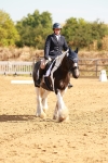 SBM_000371