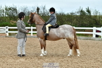 Cls 52+53 Novice Horse, Pony, Combi portfolio