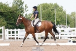 Saturday 21st UnAffiliated and RoR Classes - Click to Enter portfolio