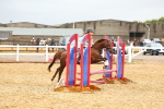 SBM_000649