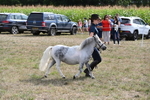 WJ6_7081