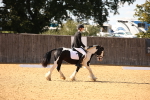SBM_28091