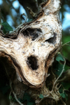 27th March Scream