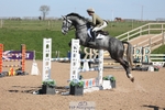 Cls 6 Foxhunter and 1.20m Open portfolio