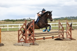 SBM_003375