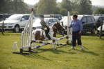 Class 1 - Mini Jumping - Lead rein or Assisted portfolio