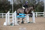 Cls 6 Pony Foxhunter & 1.10m Open portfolio