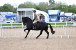 SBM_17598
