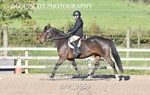 BPP_8559