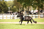 SBM_42284