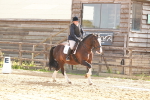 SBM_000508