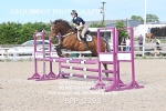 BPP_2393