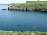 DSC00425