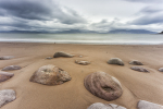 Minard Stones