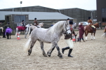 SBM_007259