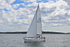 190729 SEA BADGER GBR9483T 1Y3A6704