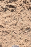 231015A-125842-08173