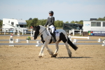SBM_004164