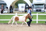 SBM_05874
