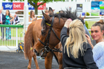Race 2 2.10pm British EBF Fillies' Novice Stakes portfolio