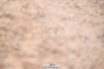 251206-150205-01412
