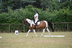 WJ6_9860