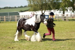 SBM_08832