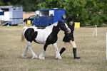 WJ6_6479