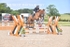 BPP_4681