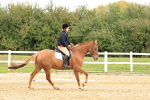 SBM_001606