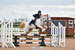 Cls 2 British Novice & 80cm Open portfolio
