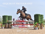 BPP_3810