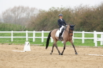 SBM_007916