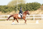 SBM_017020