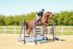SBM_001554
