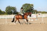 SBM_02235
