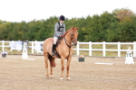SBM_009249