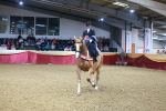 SBM_14795
