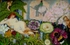 Psyche's Garden