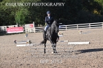 BPP_8751