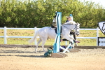 SBM_000119