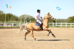 SBM_002666