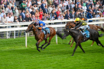 080925-Race 4-Zain Blue-7616