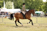 SBM_14525