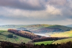 Lamaload reservoir (1)