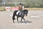 BPP_8542