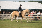 SBM_09640