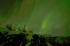 "Northern Lights"