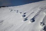 Winter 9