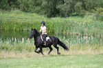 WJ7_8899